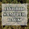 hybrid sampler newnew