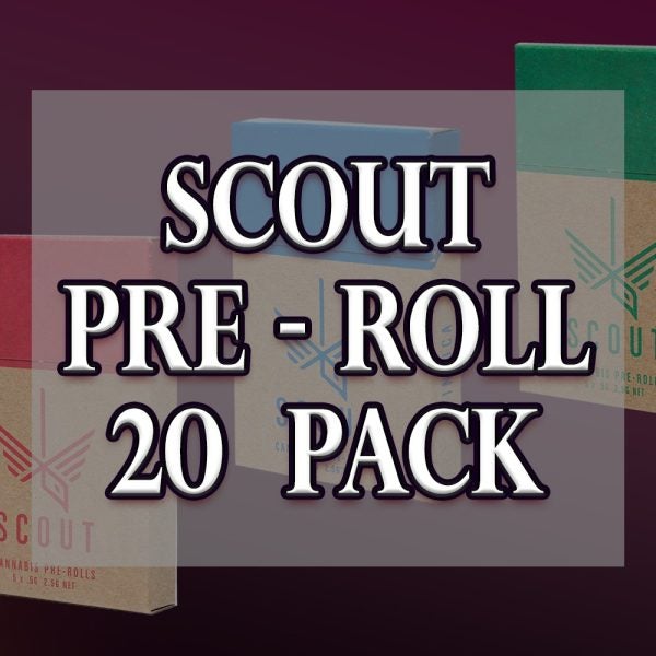 scout 20 pack 2